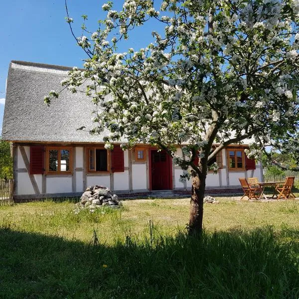 Fischerhus Lütt Hauke 69 qm Traudel