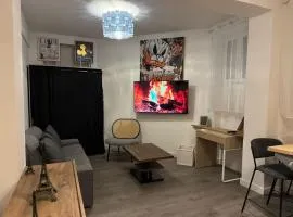Appartement . Alfortville 10' de Paris