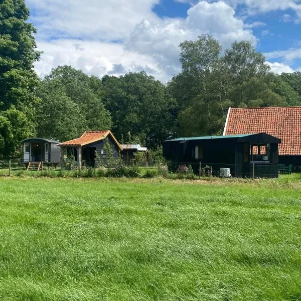 Tiny house, pipowagen onder de kastanje