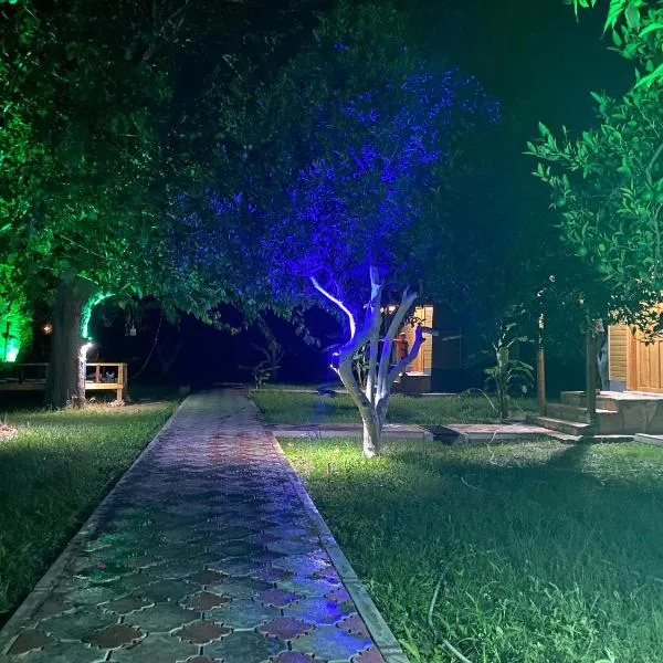 Metenin tatil evleri