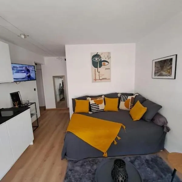 Beau studio proche centre ville et plage