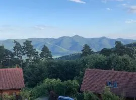 Trois-Épis, vue magnifique