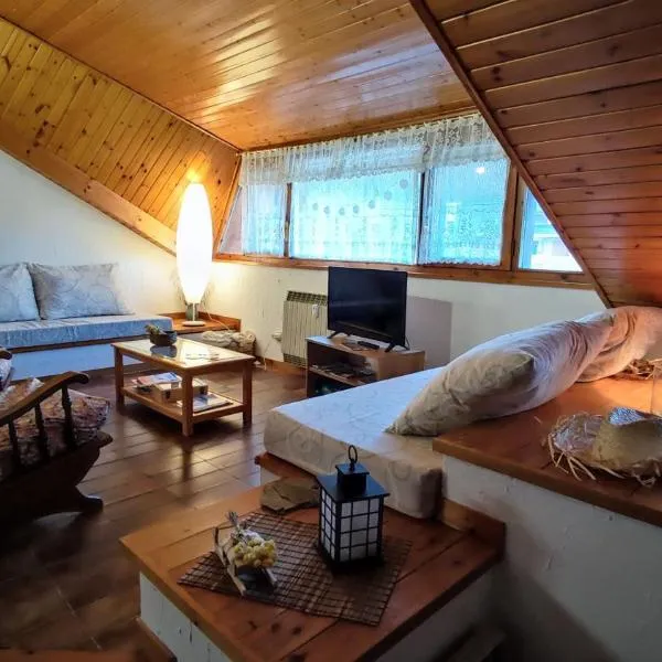 APARTAMENTO MUY CÉNTRICO con VISTAS - El Niuet de Sort