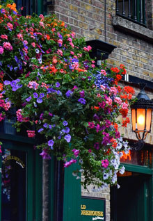 Dublin